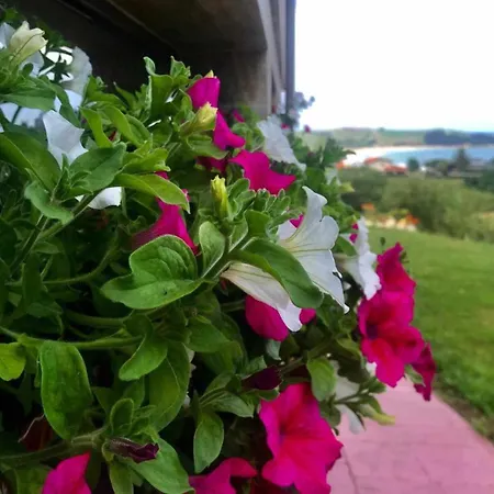 Apartamento Charo en Trasvía Trasvia